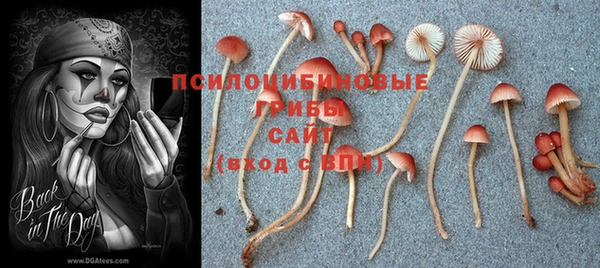 MESCALINE Армянск