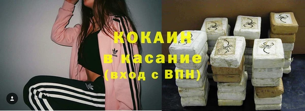 твердый Аркадак