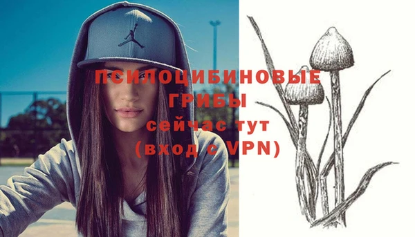 твердый Аркадак