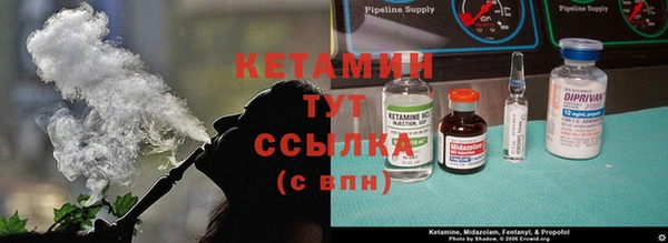 твердый Аркадак