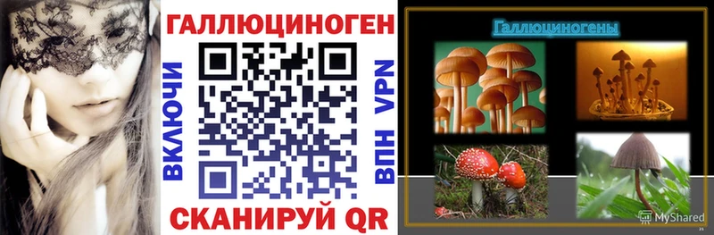Псилоцибиновые грибы прущие грибы  где можно купить наркотик  Бирюсинск 