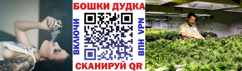 Конопля ГИДРОПОН  как найти наркотики  Бирюсинск 